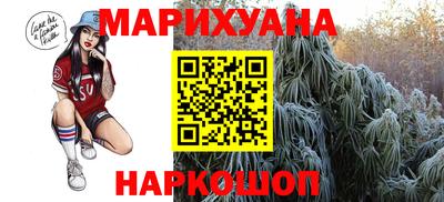 сатива Гусиноозёрск