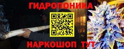 сатива Гусиноозёрск