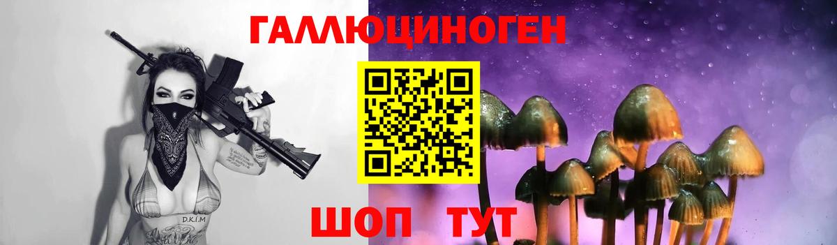 Галлюциногенные грибы прущие грибы Новошахтинск